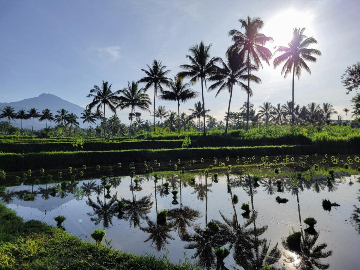 Hotel Les Rizieres Lombok - Tetebatu Exteriér fotografie