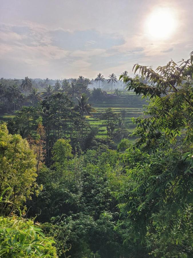 Hotel Les Rizieres Lombok - Tetebatu Exteriér fotografie