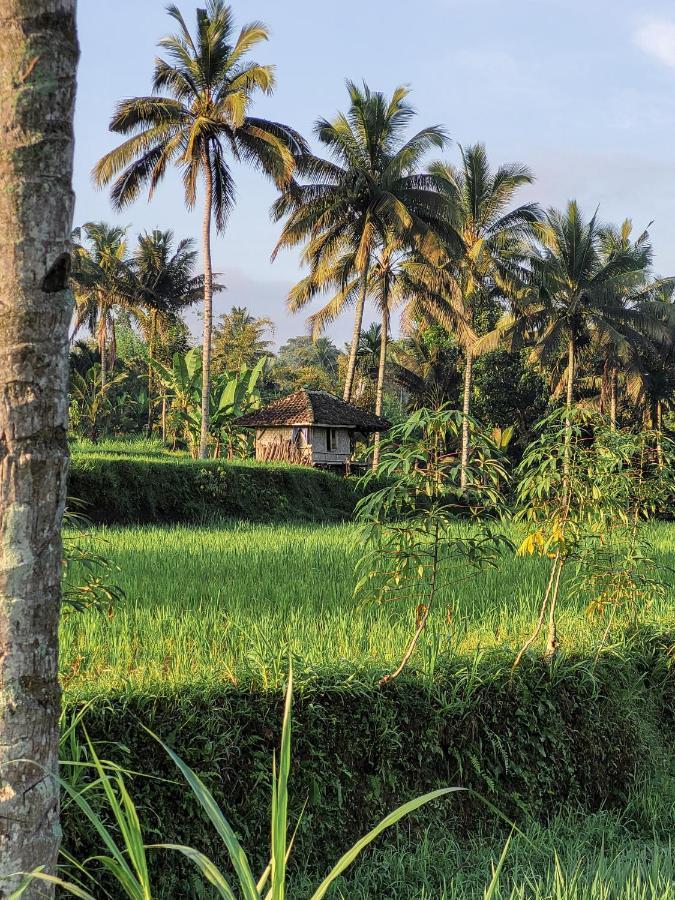 Hotel Les Rizieres Lombok - Tetebatu Exteriér fotografie